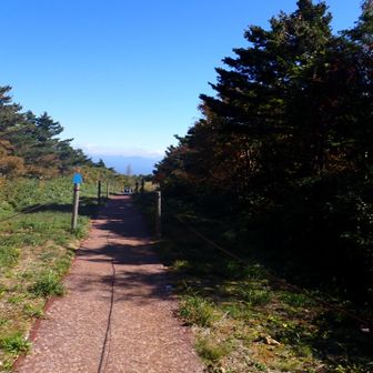 ちょっと寄り道