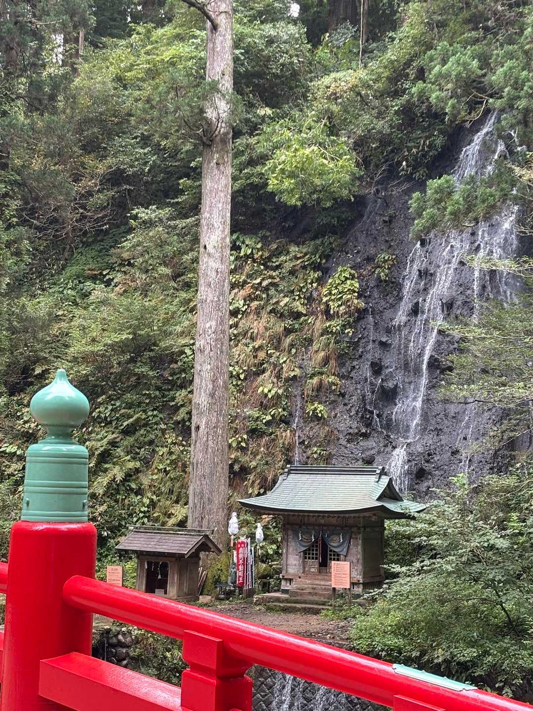 定点撮影は角度を変えて