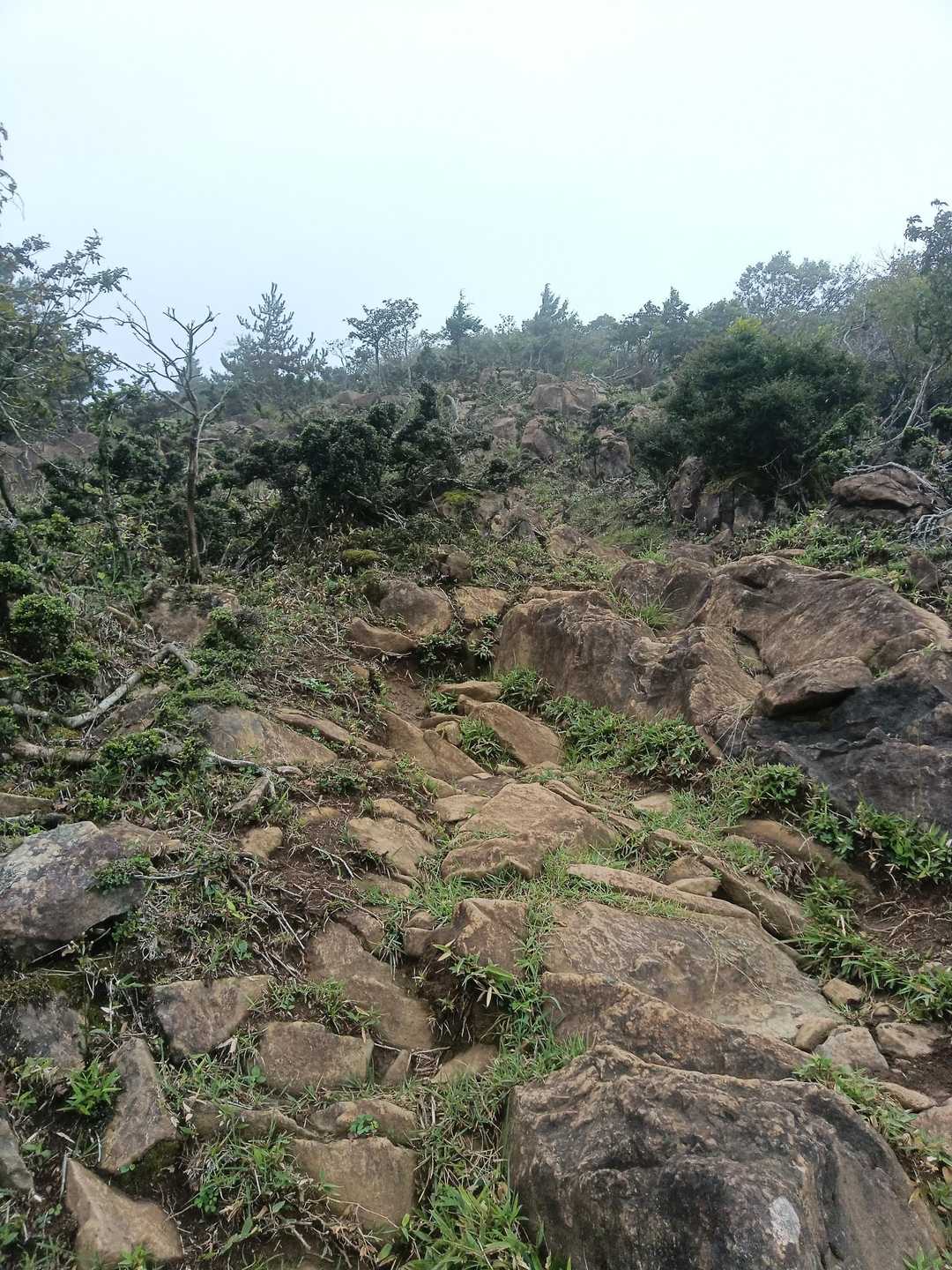 こんな岩場も時々あるけど、基本的にはとても歩きやすい登山道。
※赤石ヶ岳を除く😅