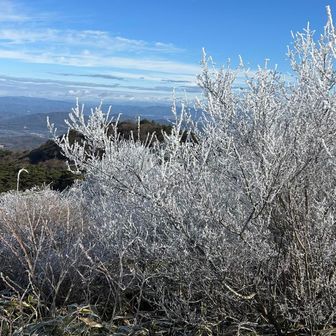 最高峰の北側から、六甲越えの休憩所に下るところが、霧氷がいっぱいだった