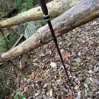 微妙な高さ。
↗️は潜って、↘️は跨いでみた