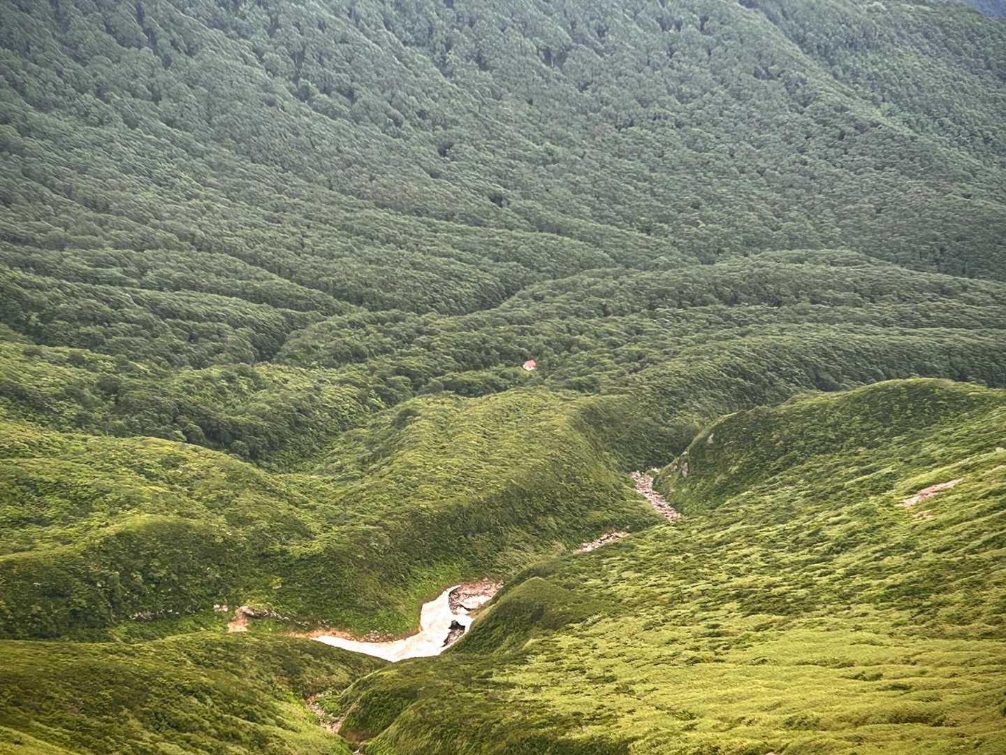 万助小屋かな？