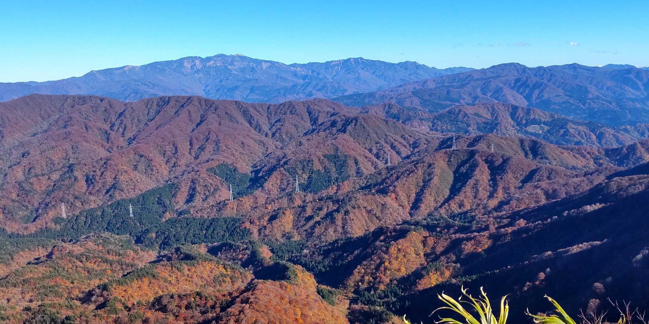 越前甲-大日山 往復コースの写真