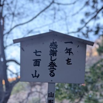 一年間ありがとう御座いました🙏では一句
ありがとう ほんとは言いたい オリゴトウ