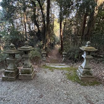 小一時間あれば登り降りできるお手軽な山でした🎶