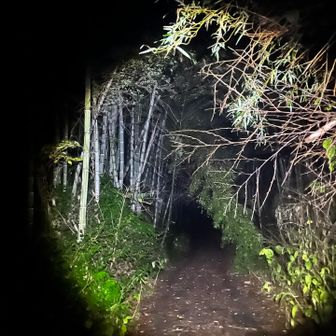 真っ暗な道を登る