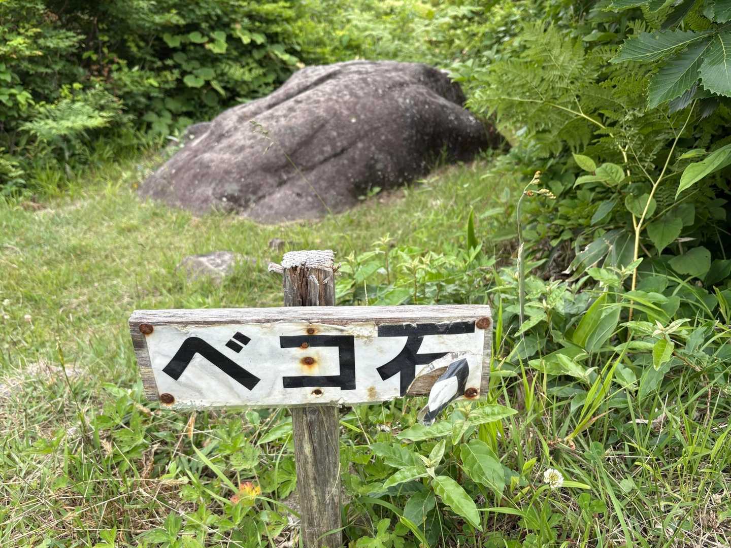 雄国沼登山道入口バス停-雄子沢登山口-牛殺山-雄国山-湿原 往復コースの写真