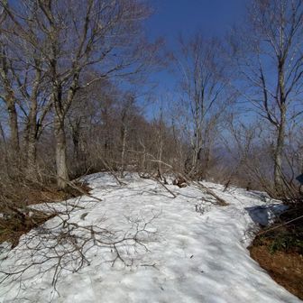 青空が嬉しいです✨️