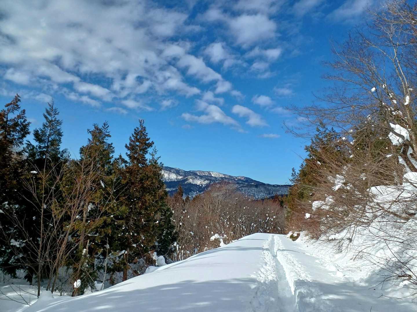 今日は最後まで本当に空が綺麗。