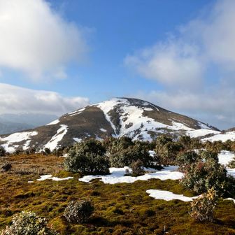 山頂はもうすぐ💪