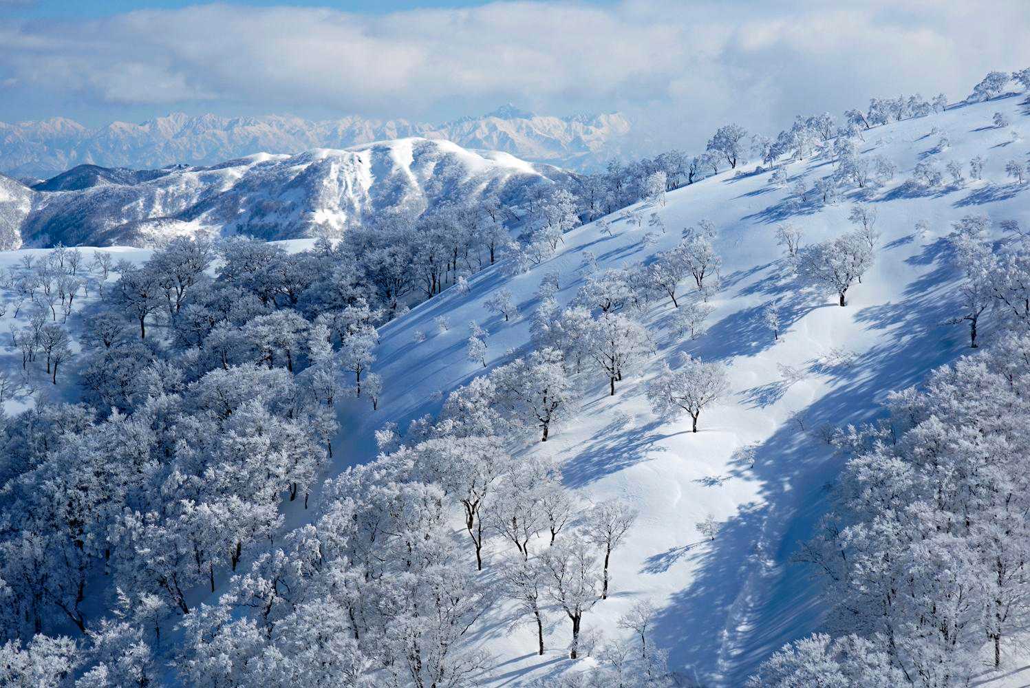 栃谷登山口-片折岳-奥金剛堂山 往復コースの写真