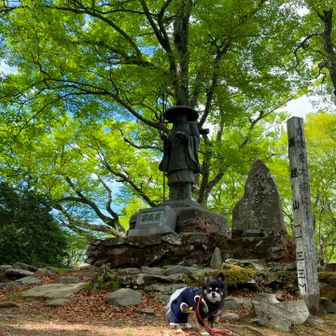 高越山⛰️1133m❗️ 半年ぶりの17回目🙌
弘法大師様、お久しぶりです🙏