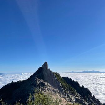 江ノ島で飲むの好き