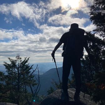 山でしか摂れない栄養がある