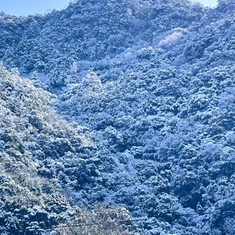 金華山 / かずさんの金華山・洞山・舟伏山の活動データ | YAMAP / ヤマップ