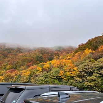 大平口に到着。