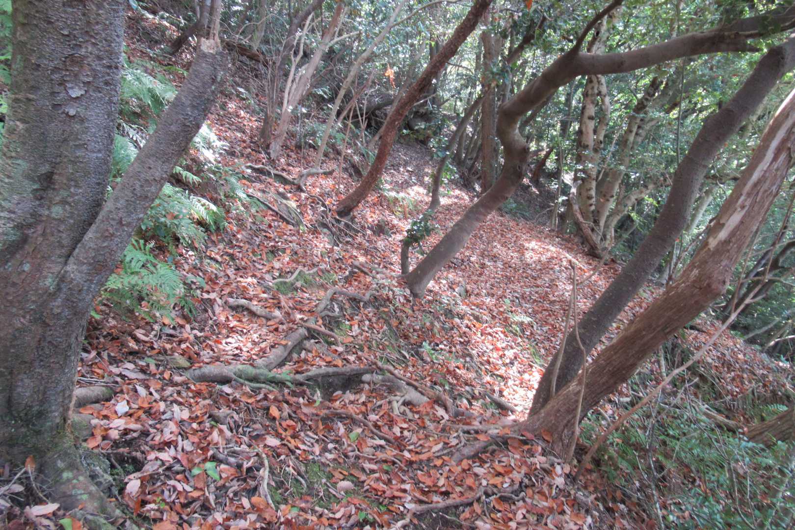 ちょっと注意ヶ所❗