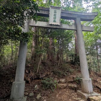 大きな杉の木が沢山あって歴史を感じました