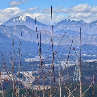 北の峯からの男体山