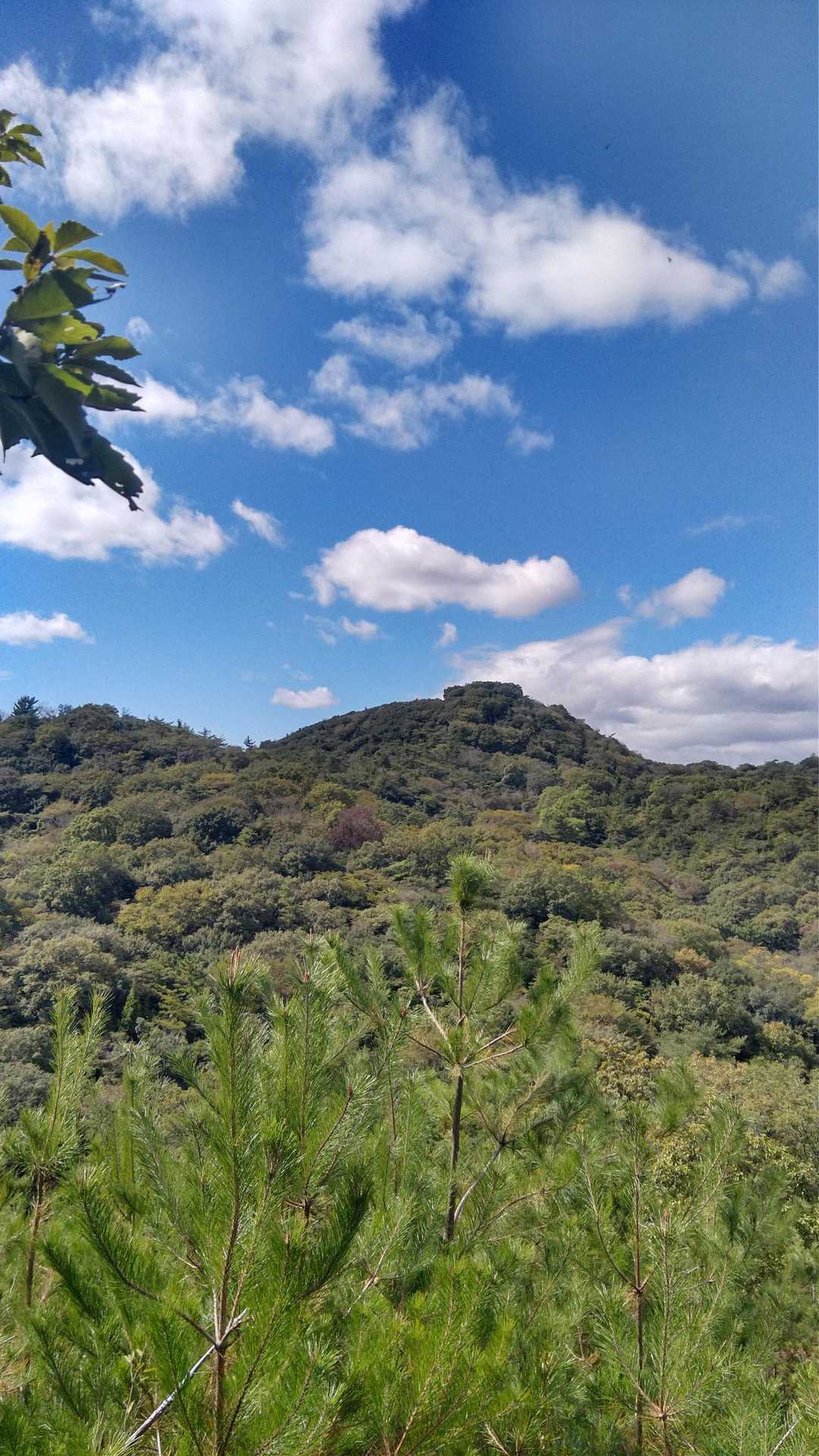 ふらりと、とんがり山を目指します🚶