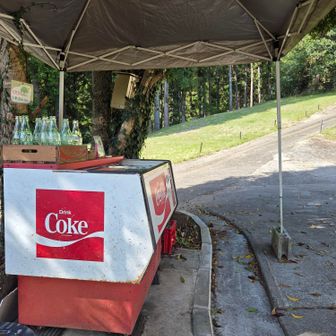 Coke(¥200)をゲットして更に下る💪
