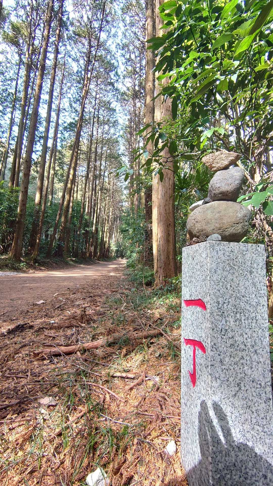 先ずは一丁からスタート 神社は十五丁みたいです。