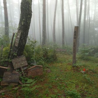 妖怪ポストあったよ！（笑）
神々が住まう山らしい