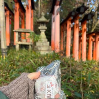 お待ちかねのおやつタイム🍡
今日は参拝前に寄った、「稲荷ふたば」さんのは紅大福😚
ずーっと食べてみたかったし、めちゃくちゃ美味しくって幸せ😉