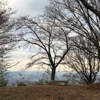 定点観察。太鼓の段。