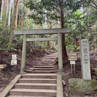 お邪魔します🙏
