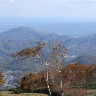 紅葉の綺麗さが写真ではイマイチ！😰