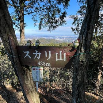 9座目 スカリ山 435m
双子の弟🐸🐸と一緒で長男🐸嬉しそう