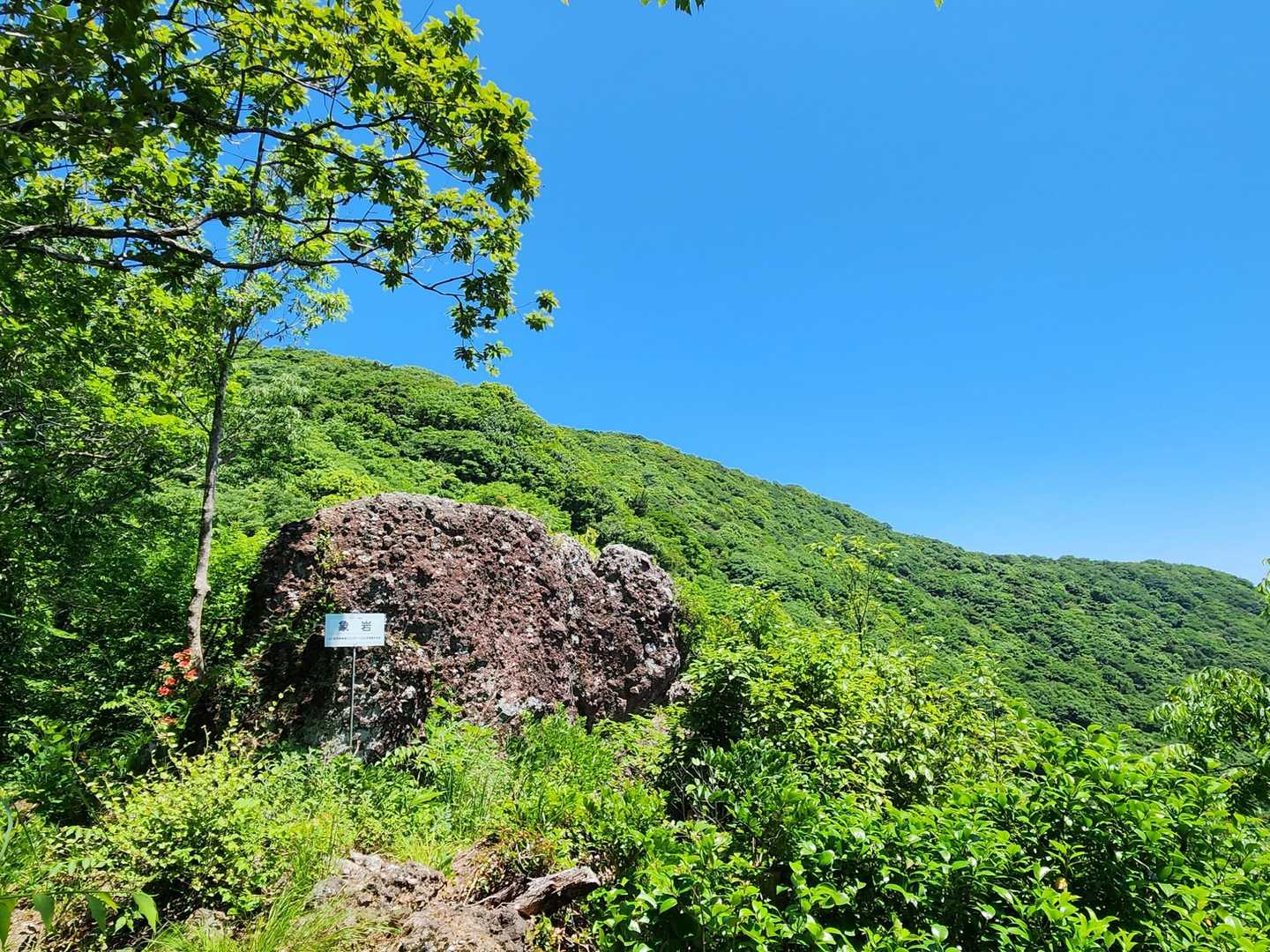景色を見に寄り道