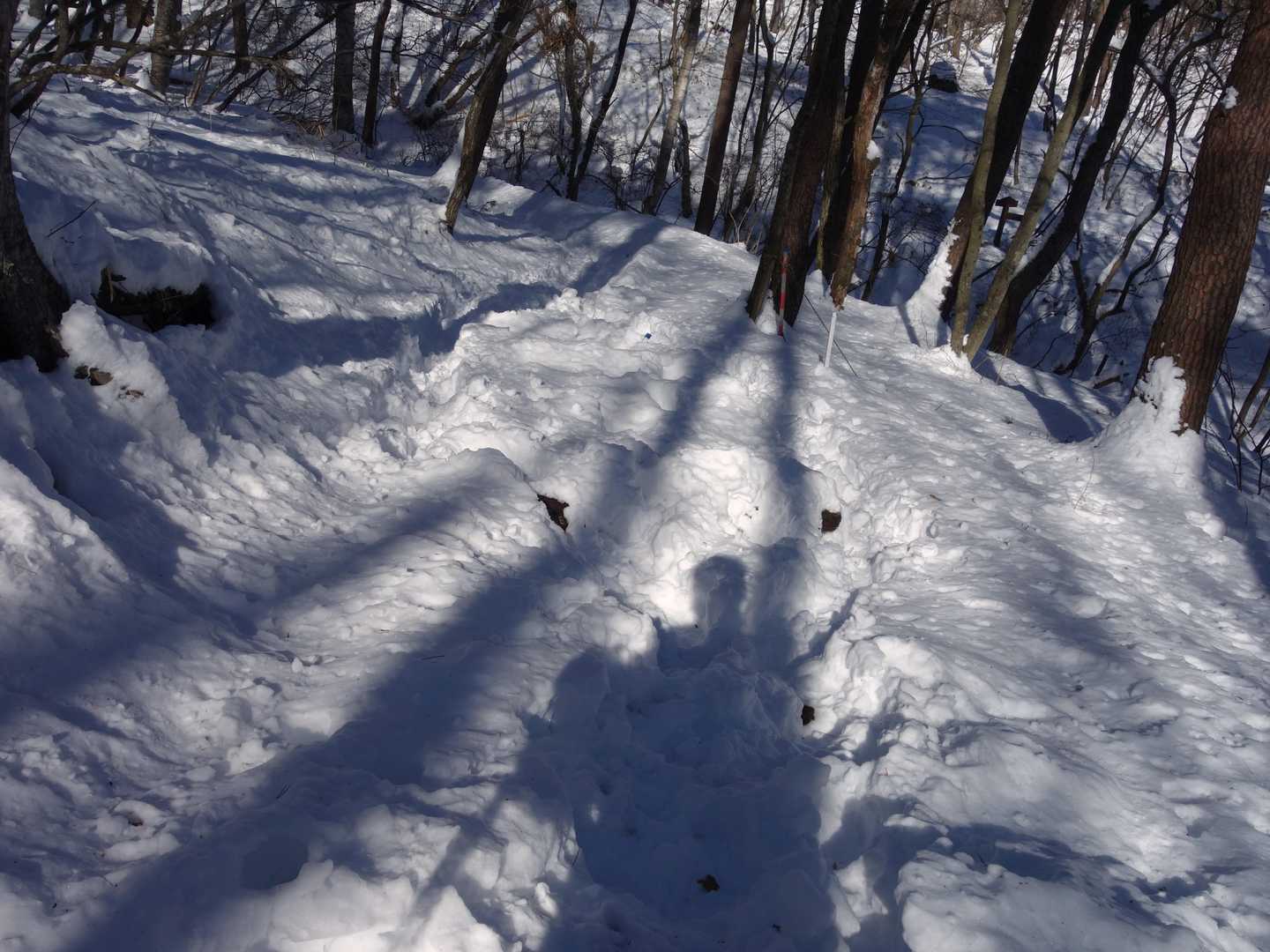 駐車場まで後少し
やや疲れました😁
