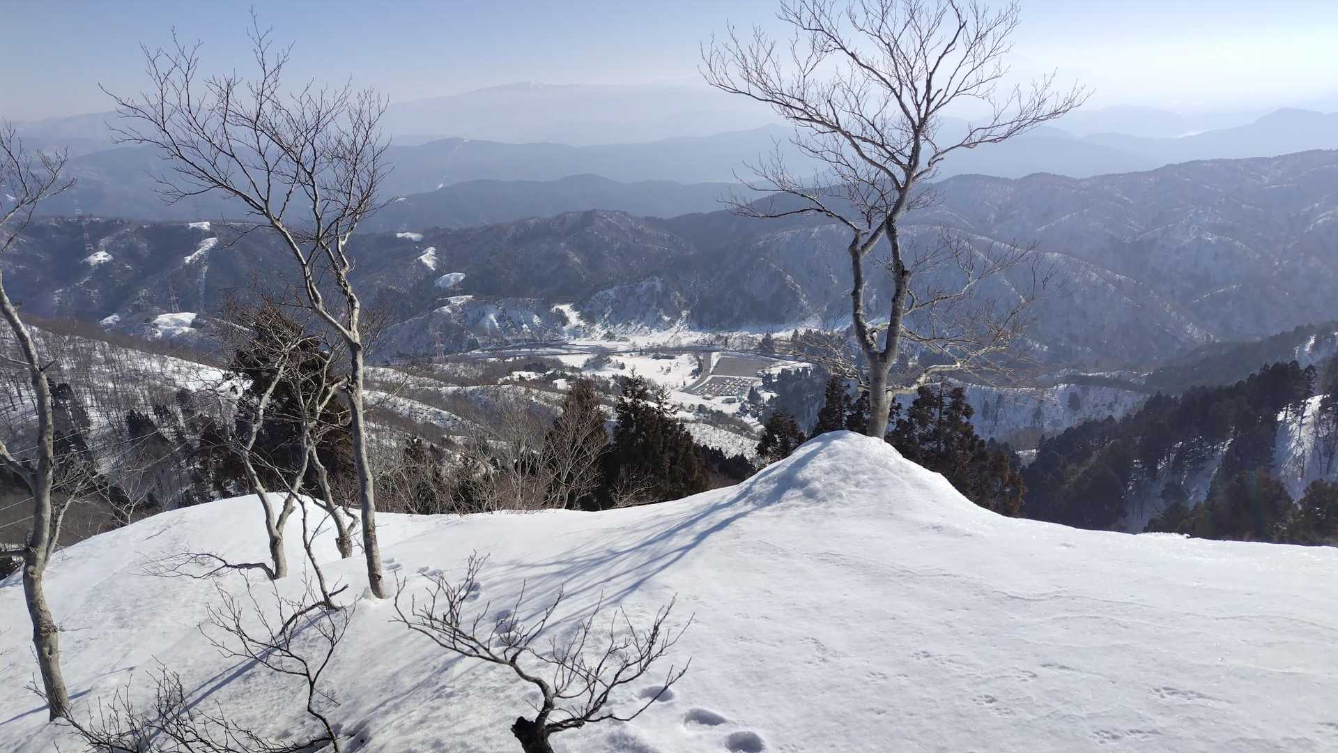 駐車場が見える