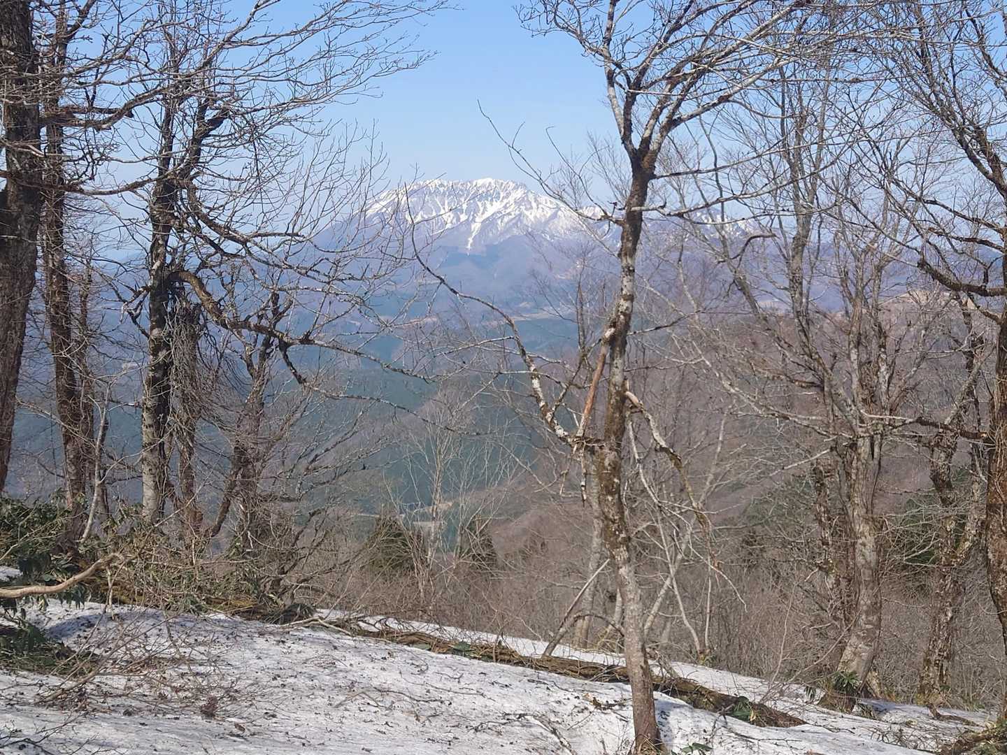朝鍋鷲ヶ山入口-朝鍋鷲ヶ山-金ヶ谷山 往復コースの写真
