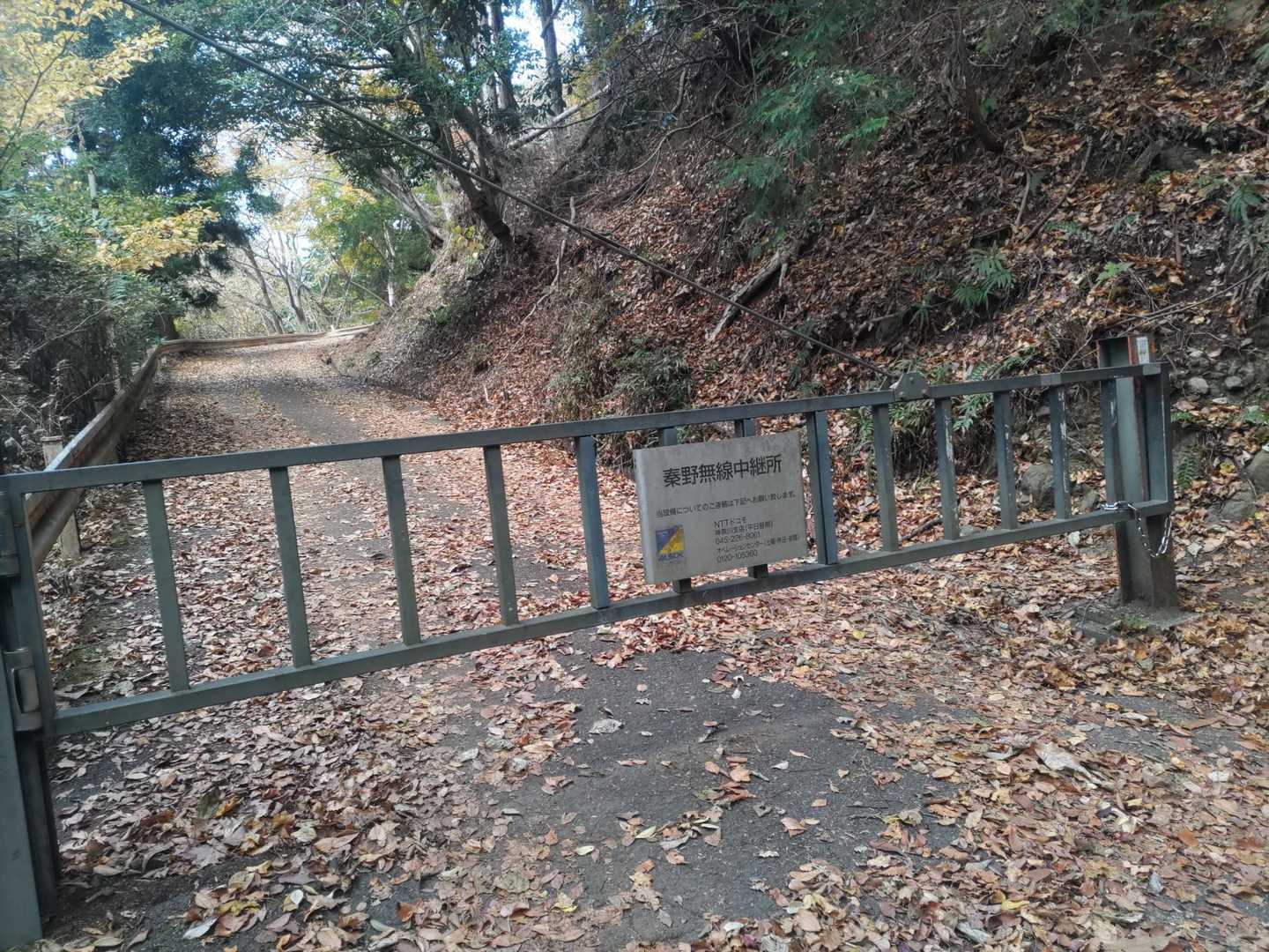 ゲート右側を通ります