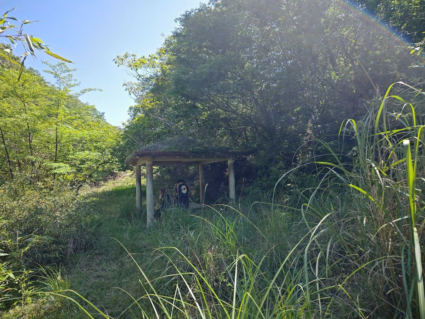 横山 縦走コースの写真