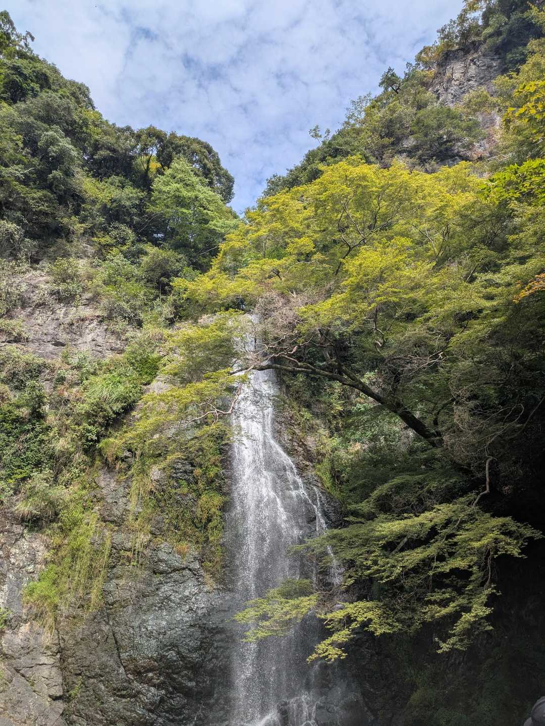 石子詰登山口-阪急　箕面駅 周回コースの写真