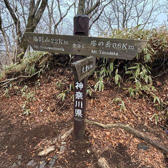 もう一つの金冷し！
ここは何度も通っていて知ってました〜。