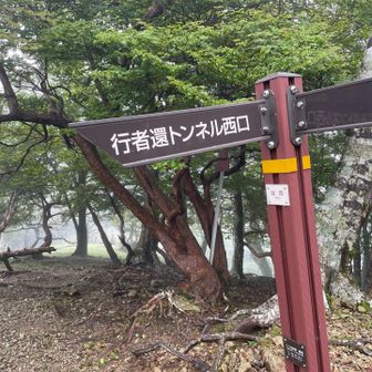 奥駈道出会　これから先の急降り前に休憩