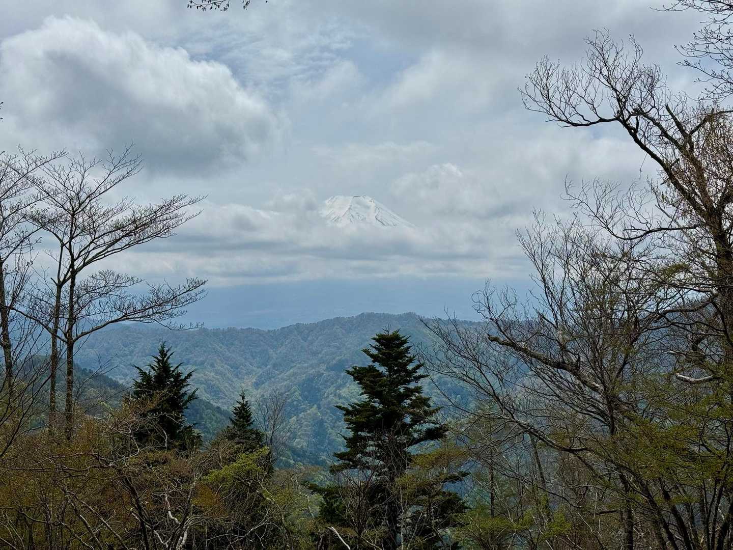 御正体山 往復コースの写真