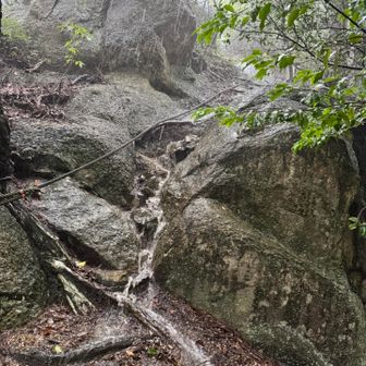 土砂降りの中、知らん間に古城山ピークをすっ飛ばしてしまいました。最後の城山ピーク手前の岩場降りる事を考えて断念して終了しました。反則みたいですがYAMAPではピークハント出来ていました。これってあまり後味良くないですね。
