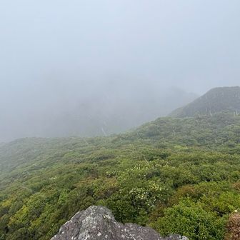 ここでもしばらく激雨にあたります