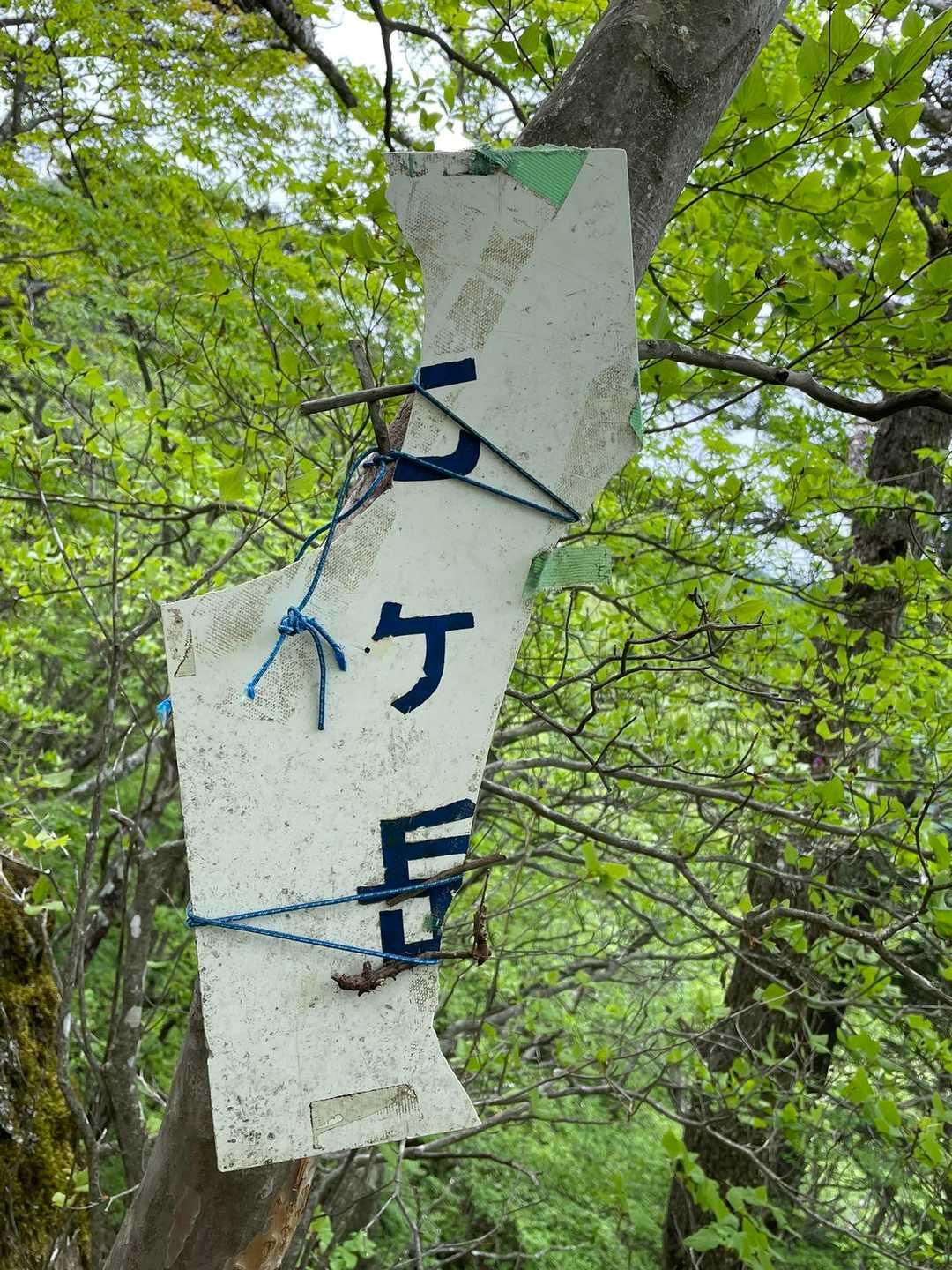 壊れた七ヶ岳の山頂標識
「七」と「岳」の文字を、小枝で修復してくださった粋な方がいらっしゃる👏