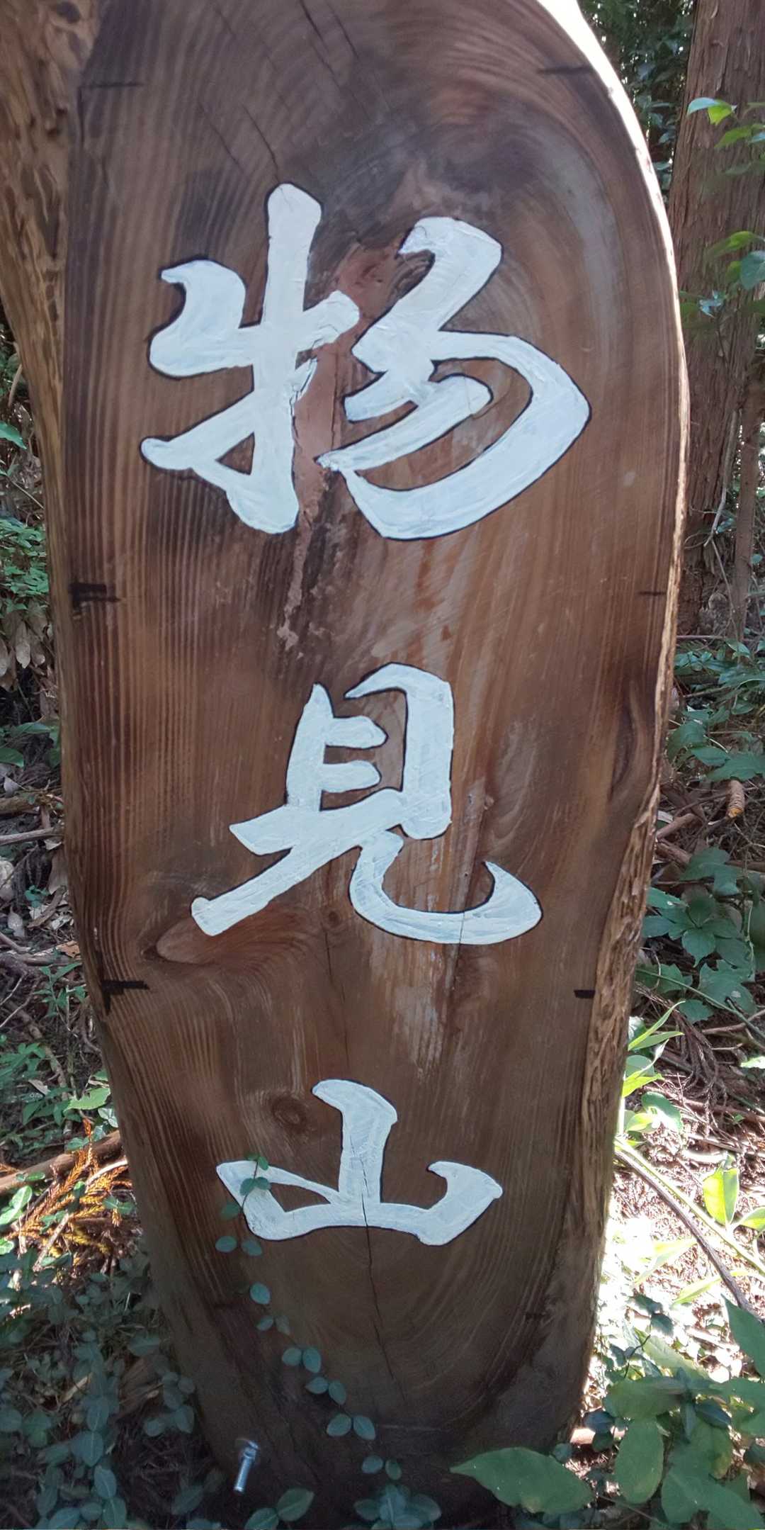 物見山の写真