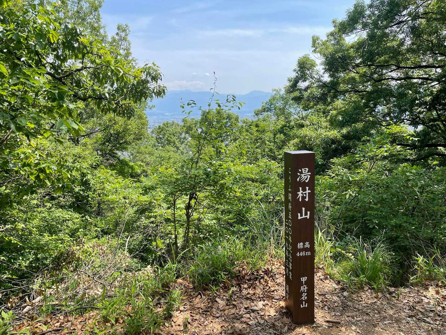 お手軽山散歩で湯村山