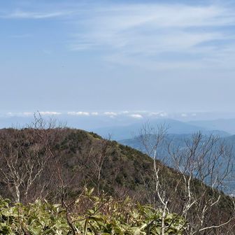 お隣の霊仙寺山の向こうに海🌊が見える？