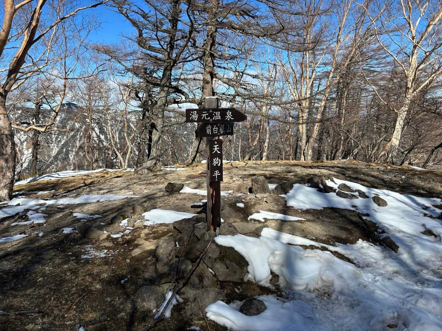 登りは違う方から行ったみたい。下山はここにでました。