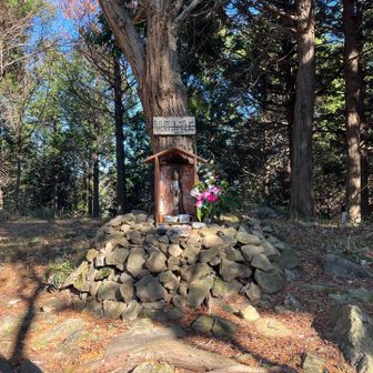 山頂広場
眺望は北西方向に少しだけ有り